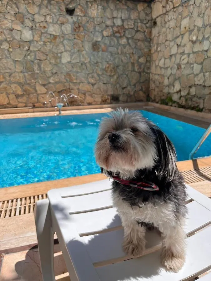 Kaleici Hotel Antalya